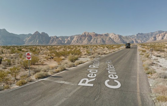 Las Vegas Rescue Group Saves Three Abandoned Dogs Near Bonnie Springs Ahead of Thanksgiving