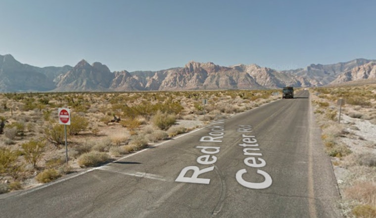 Las Vegas Rescue Group Saves Three Abandoned Dogs Near Bonnie Springs Ahead of Thanksgiving