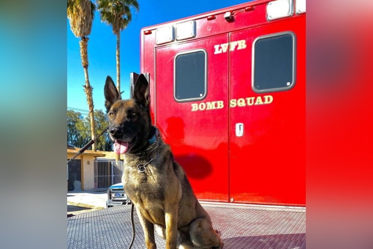Las Vegas Honors Beloved K9 Arno for Eight Years of Exemplary Service Following His Passing at 13