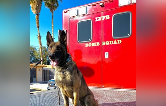 Las Vegas Honors Beloved K9 Arno for Eight Years of Exemplary Service Following His Passing at 13