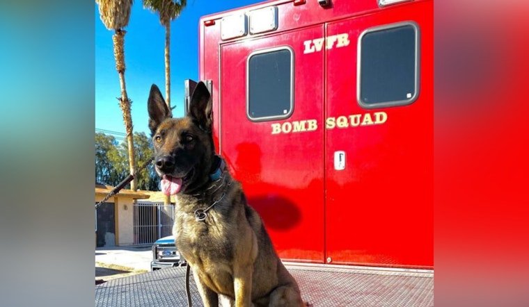 Las Vegas Honors Beloved K9 Arno for Eight Years of Exemplary Service Following His Passing at 13