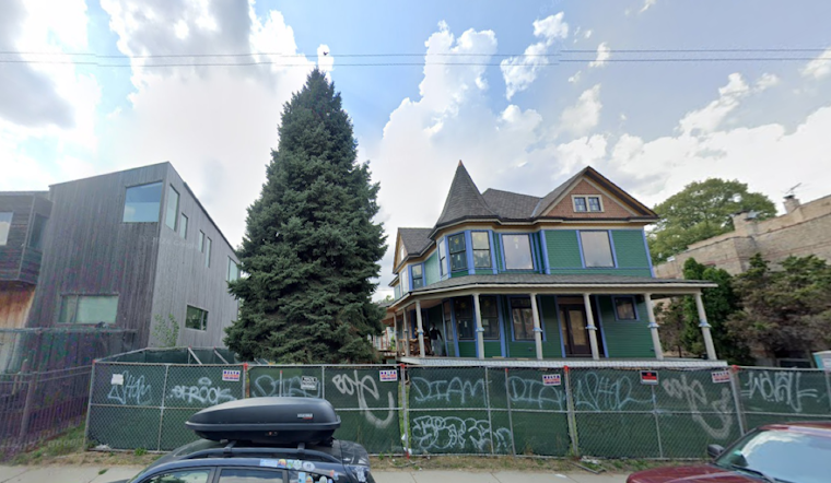 Logan Square's Majestic Blue Spruce Selected as Chicago's 111th Official Christmas Tree