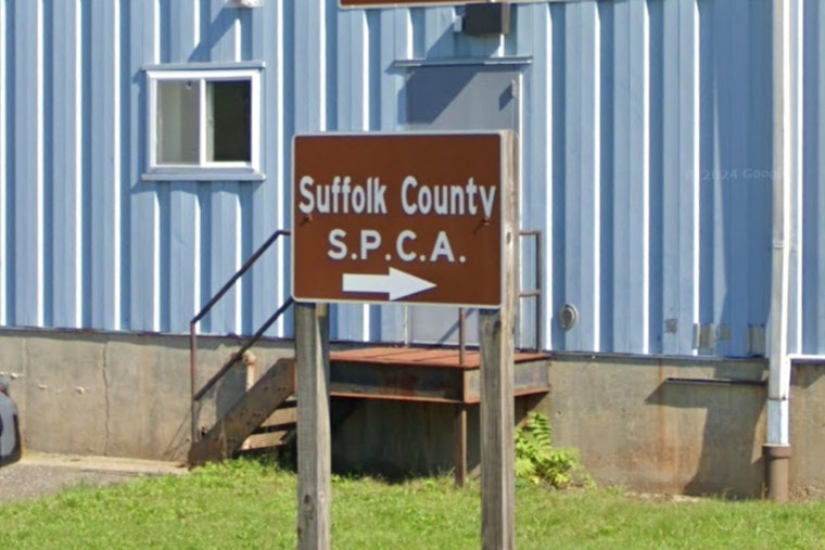 Long Island House of Horrors, Centereach Man Charged as Cocaine Found in Dogs Amid Squalor