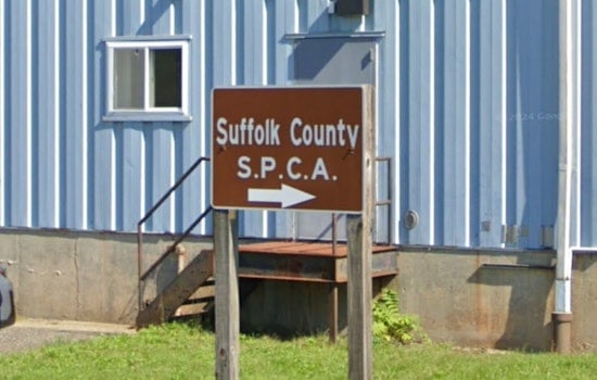 Long Island House of Horrors, Centereach Man Charged as Cocaine Found in Dogs Amid Squalor
