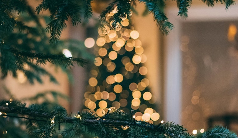 Los Angeles Welcomes 100-Foot Christmas Tree at The Grove to Herald the Start of the Holiday Season