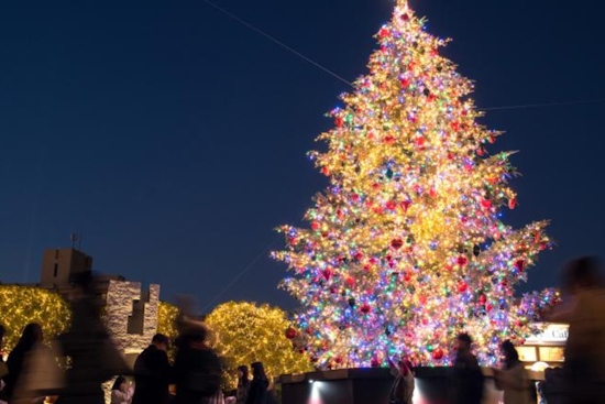 Macomb County Lights Up the Season with Series of Christmas Tree Lighting Events Across Local Communities