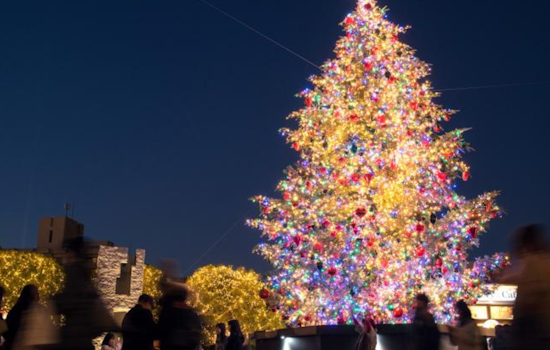 Macomb County Lights Up the Season with Series of Christmas Tree Lighting Events Across Local Communities