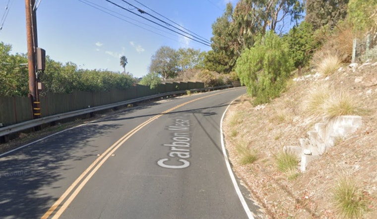 Malibu Standoff Ends Peacefully with Suspect in Custody After Opening Fire on LASD Deputies