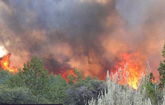 Malibu's Broad Fire Engulfs 50 Acres, PCH Closed Amid High Wind Alert and Evacuation Advisory