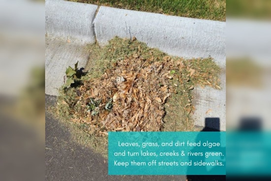 Maple Grove City Government Urges Proper Disposal of Leaves to Protect Local Waterways
