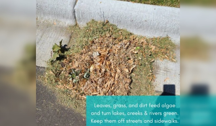 Maple Grove City Government Urges Proper Disposal of Leaves to Protect Local Waterways