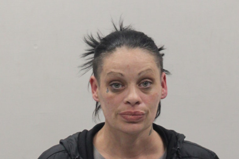 Marstons Mills Woman Accused of Brandishing Replica Firearm at Olde Barnstable Fairgrounds Golfers