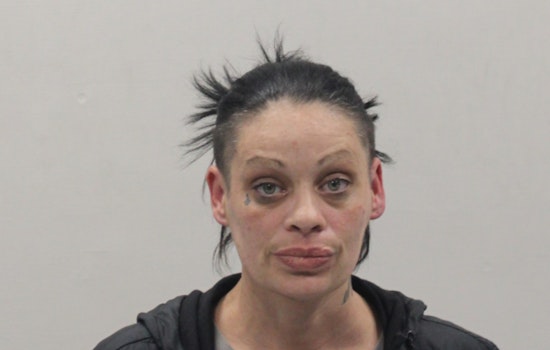 Marstons Mills Woman Accused of Brandishing Replica Firearm at Olde Barnstable Fairgrounds Golfers