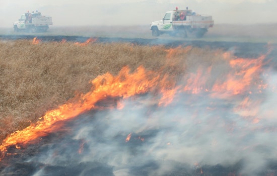 Massachusetts Governor Healey Urges Fire Safety Amid Rise in Wildland Fires Across Commonwealth