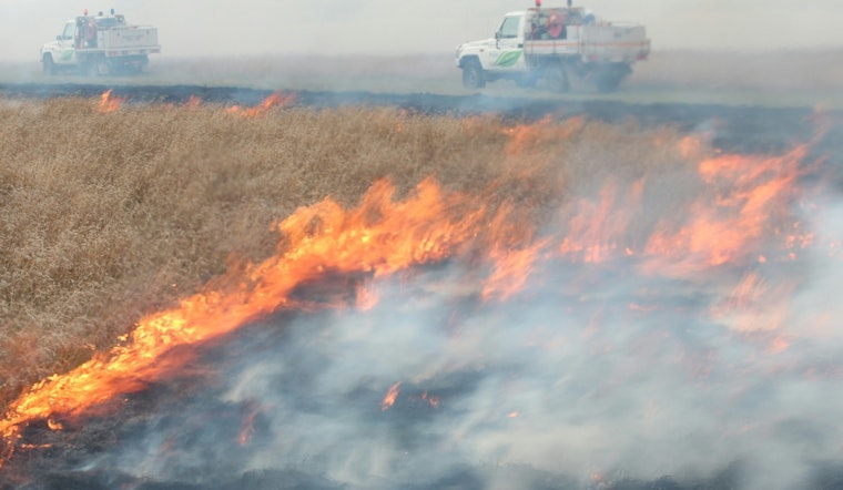 Massachusetts Governor Healey Urges Fire Safety Amid Rise in Wildland Fires Across Commonwealth
