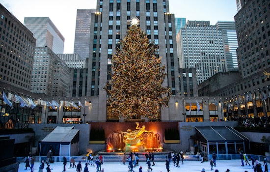 Massachusetts’ Majestic Norway Spruce Embarks on Journey to Shine as Rockefeller Center Christmas Tree in New York