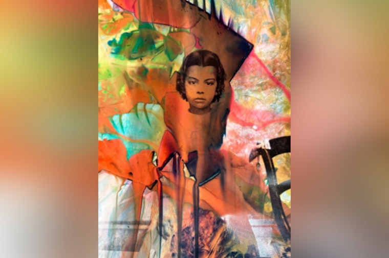 Maya Freelon's "Whippersnappers" Exhibition Honors Enslaved Children at Historic Stagville with Transformative Art