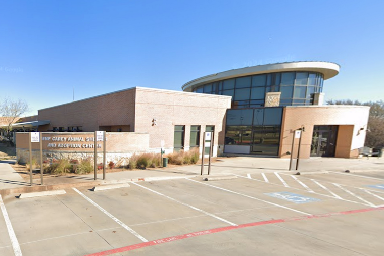 Meet Santa and Snap Your Pet's Festive Photo at Lewisville's Gene Carey Animal Shelter Event