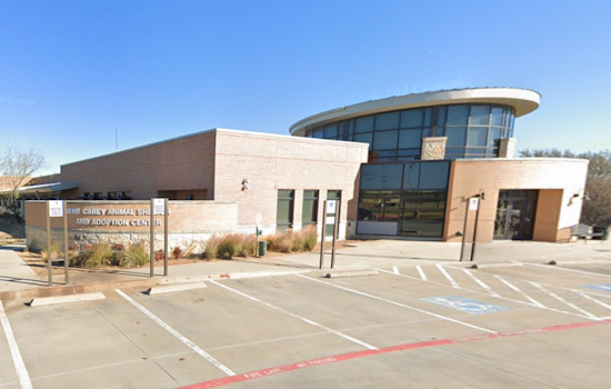 Meet Santa and Snap Your Pet's Festive Photo at Lewisville's Gene Carey Animal Shelter Event