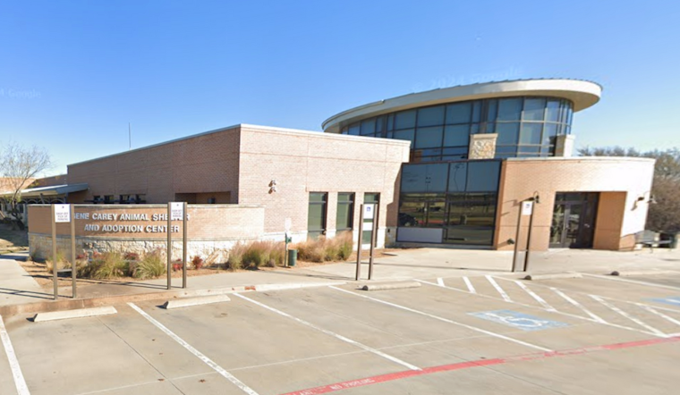 Meet Santa and Snap Your Pet's Festive Photo at Lewisville's Gene Carey Animal Shelter Event