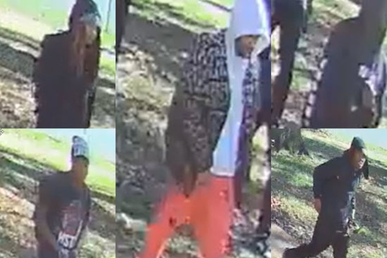 Memphis Community Shaken by Daylight Burglary on Foxgate Drive, Authorities Seek Five Suspects