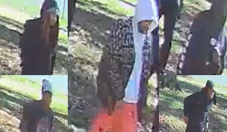 Memphis Community Shaken by Daylight Burglary on Foxgate Drive, Authorities Seek Five Suspects