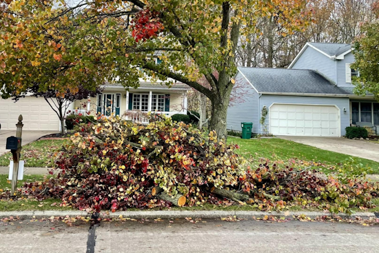 Mentor Announces Yard Debris Pickup Following Snowstorm, Residents Must Act by December 6