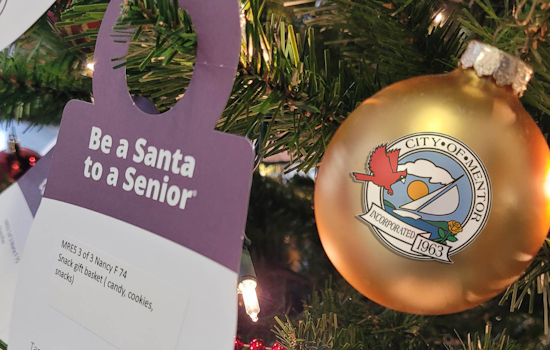 Mentor's Be a Santa to a Senior Program Brings Holiday Cheer to Lake County's Elders
