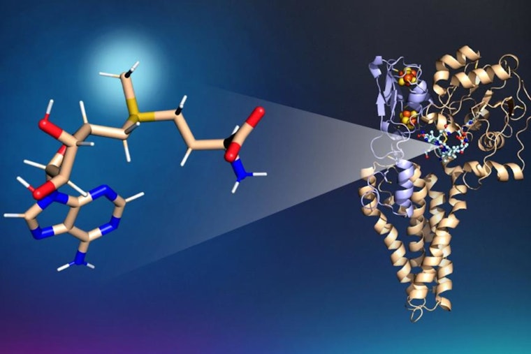 Mercury Menace Breakthrough, University of Michigan and ORNL Scientists Unveil Key Molecule Linked to Neurotoxin Formation