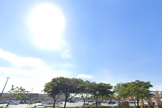 Miami Greets Thanksgiving with Sunny Skies and Cool Breeze; Cooler Weather Expected Next Week