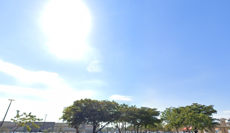 Miami Greets Thanksgiving with Sunny Skies and Cool Breeze; Cooler Weather Expected Next Week