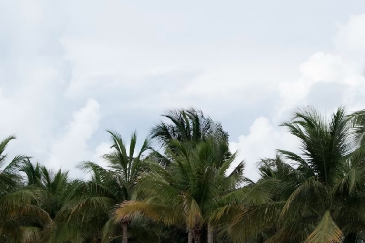Miami to Enjoy Mid-80s and Breezy Weather with a Chance of Showers