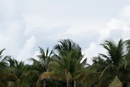 Miami to Enjoy Mid-80s and Breezy Weather with a Chance of Showers This Week