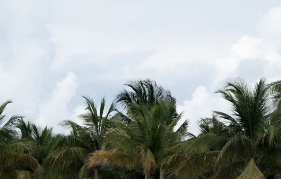Miami to Enjoy Mid-80s and Breezy Weather with a Chance of Showers This Week