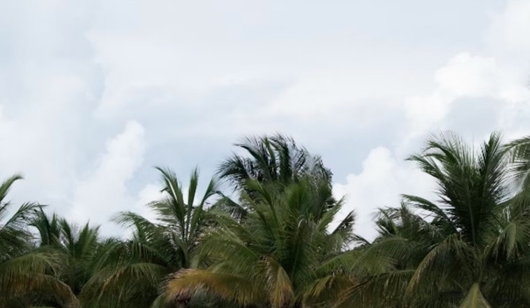 Miami to Enjoy Mid-80s and Breezy Weather with a Chance of Showers This Week