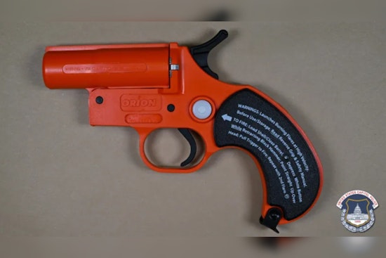 Michigan Man Arrested at U.S. Capitol with Flare Gun and Torch on Election Day, Thwarted by Tight Security