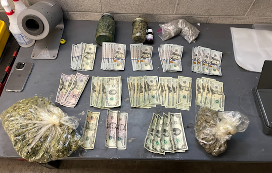 Milpitas Man with Felony Warrant Arrested for Drug Dealing After Routine Traffic Stop