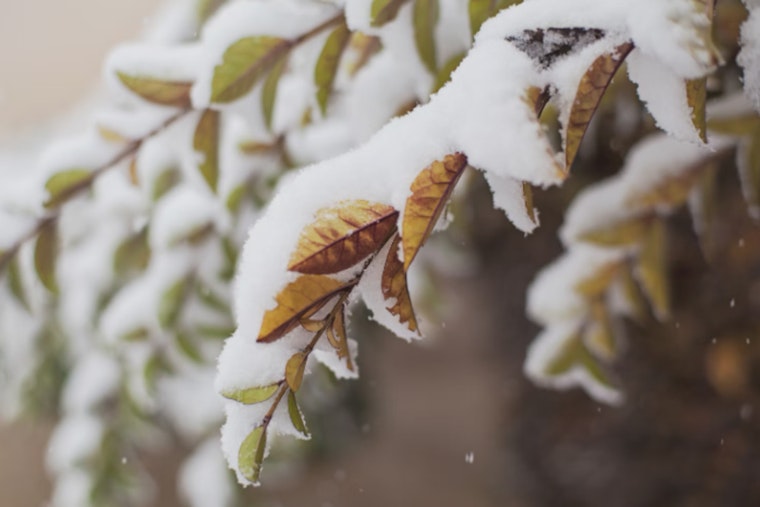 Milwaukee Commuters Navigate Snow and Wind as Winter Weather Advisory Takes Effect