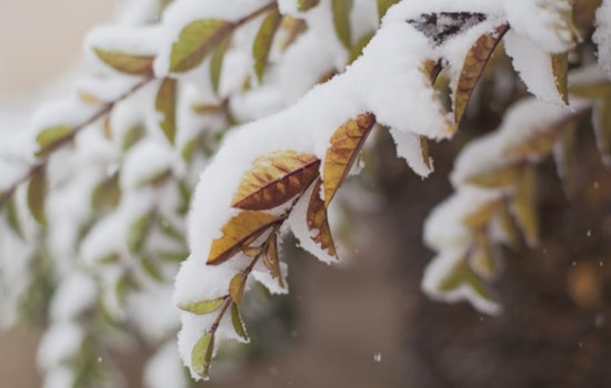 Milwaukee Commuters Navigate Snow and Wind as Winter Weather Advisory Takes Effect
