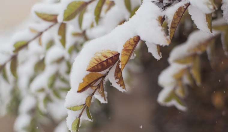 Milwaukee Commuters Navigate Snow and Wind as Winter Weather Advisory Takes Effect