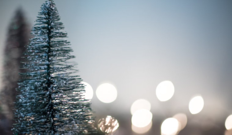 Milwaukee Embraces Festive Spirit with 64-Foot Christmas Tree Near Fiserv Forum