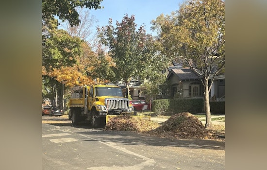 Milwaukee Extends Leaf Collection Deadline to December 1 Amid Unusual Seasonal Delay