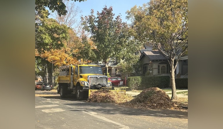 Milwaukee Extends Leaf Collection Deadline to December 1 Amid Unusual Seasonal Delay