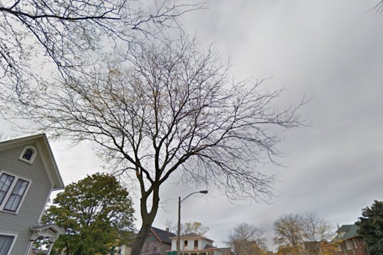Milwaukee's Week Ahead, Eclectic Weather Mix with Sprinkles, Rain, and Gusty Winds Forecasted