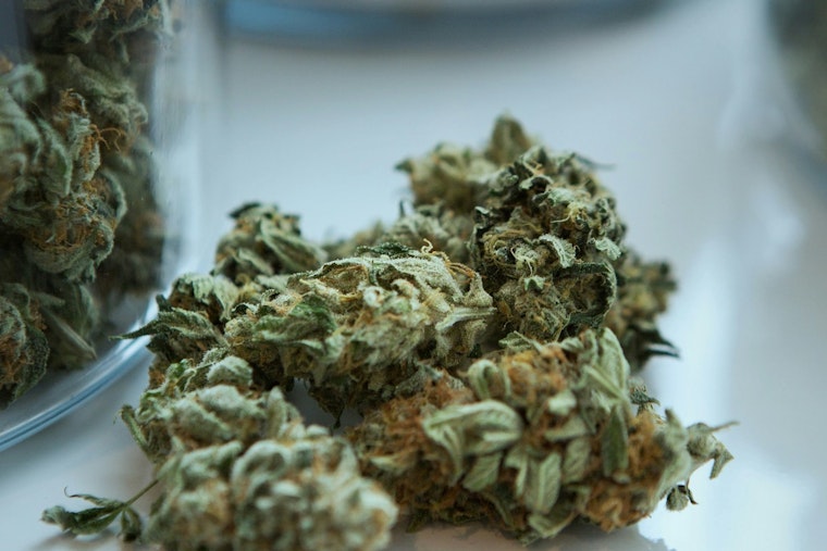 Minneapolis Park and Recreation Board Launches Public Comment Period for Draft Cannabis, Tobacco, and THC Policies