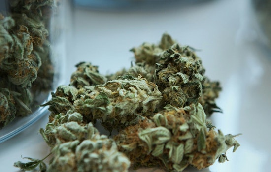 Minneapolis Park and Recreation Board Launches Public Comment Period for Draft Cannabis, Tobacco, and THC Policies