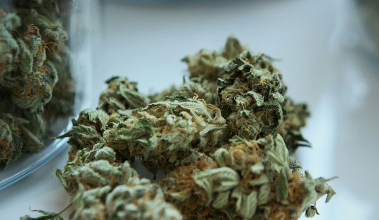 Minneapolis Park and Recreation Board Launches Public Comment Period for Draft Cannabis, Tobacco, and THC Policies
