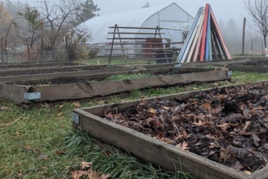 Minneapolis Parks & Recreation Ignites Winter Warmth with Array of Seasonal Activities Amid Nature's Chill