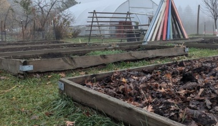 Minneapolis Parks & Recreation Ignites Winter Warmth with Array of Seasonal Activities Amid Nature's Chill