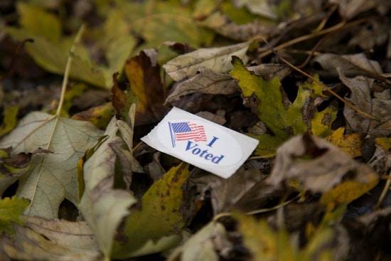 Minnesota Secretary of State Launches Real-Time Election Results Website for Enhanced Voter Engagement